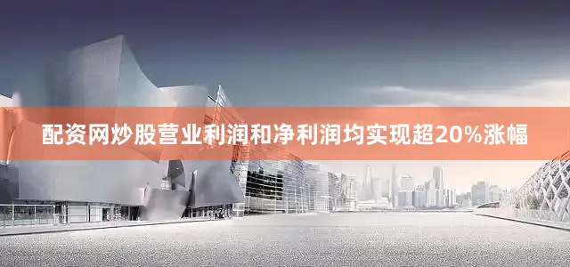 配资网炒股营业利润和净利润均实现超20%涨幅